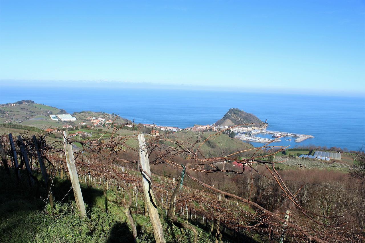 Gazteategi Bed & Breakfast Zarautz Luaran gambar